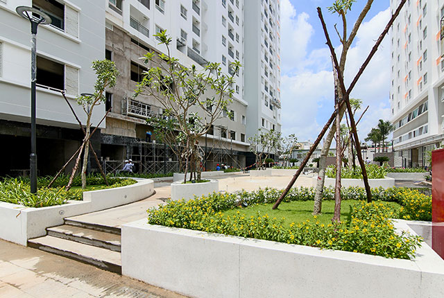 Công tác thi công khu vực cảnh quan