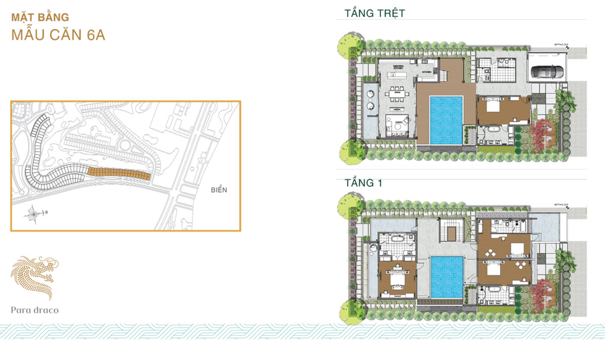 Mặt bằng Thiết Kế Mẫu Căn 6A Para Draco