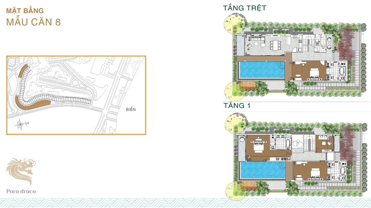 Mặt bằng Thiết Kế Mẫu Căn 8 Para Draco