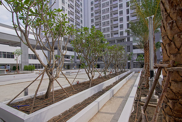 Công tác thi công cảnh quan