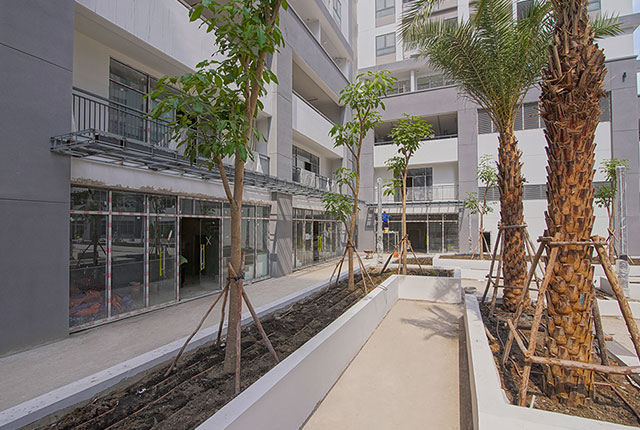 Công tác thi công cảnh quan