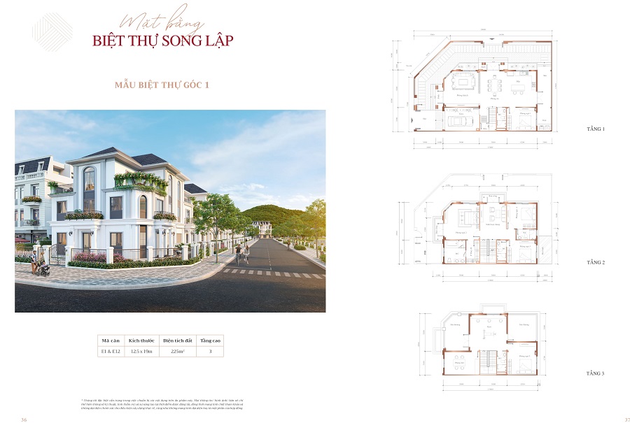 Mẫu Thiết Kế Căn Biệt Thự Song Lập Góc 1