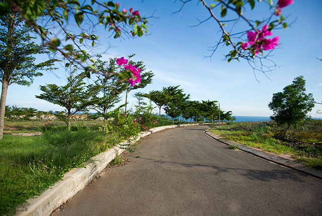 Hoàn Thành Hệ Thống Cây Xanh Dự Án Sentosa Giai Đoạn 1